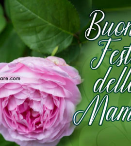 buona festa mamma rosa