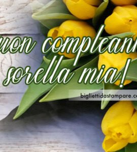 buon compleanno sorella 23