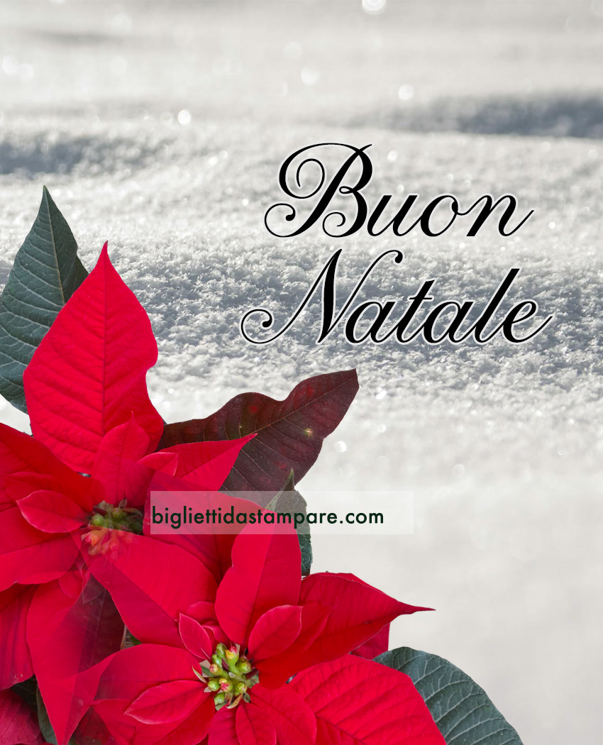 25 dicembre natale 1