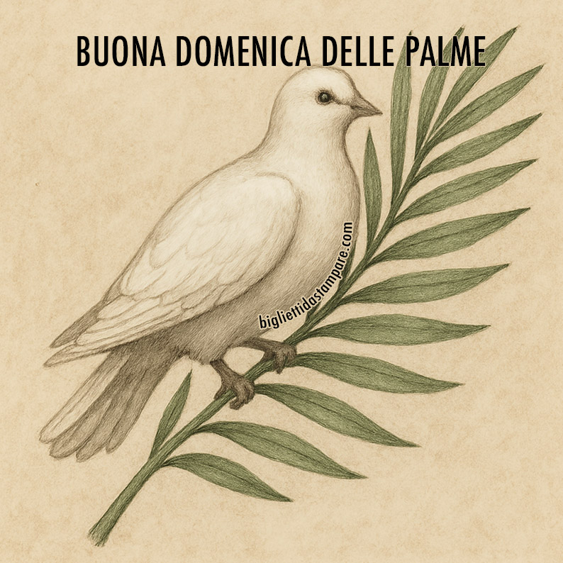 domenica palme colomba