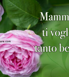mamma ti voglio tanto bene