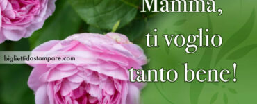 mamma ti voglio tanto bene